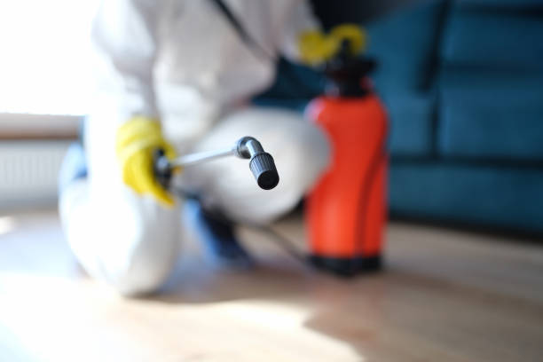 Best Environmental Consulting for Mold Prevention  in New Castle, DE