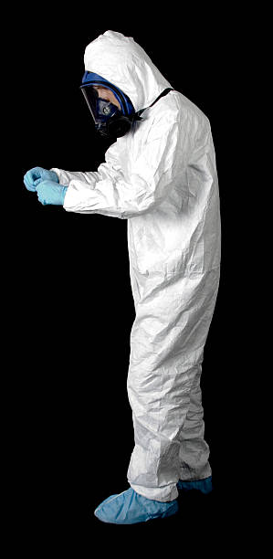 Reliable New Castle, DE Mold Removal Solutions
