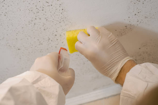 Best Post-Remediation Verification Testing  in New Castle, DE